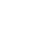 ico fb 02